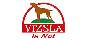 Vizsla in Not e.V.